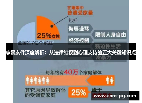 家暴案件深度解析：从法律维权到心理支持的五大关键知识点