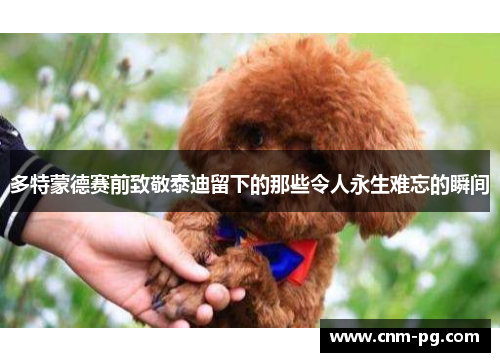 多特蒙德赛前致敬泰迪留下的那些令人永生难忘的瞬间