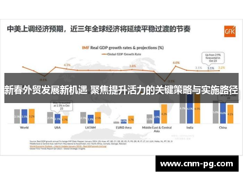 新春外贸发展新机遇 聚焦提升活力的关键策略与实施路径