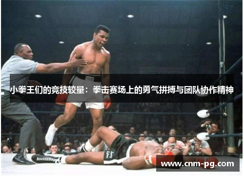 小拳王们的竞技较量：拳击赛场上的勇气拼搏与团队协作精神