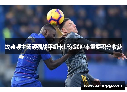 埃弗顿主场顽强战平纽卡斯尔联迎来重要积分收获